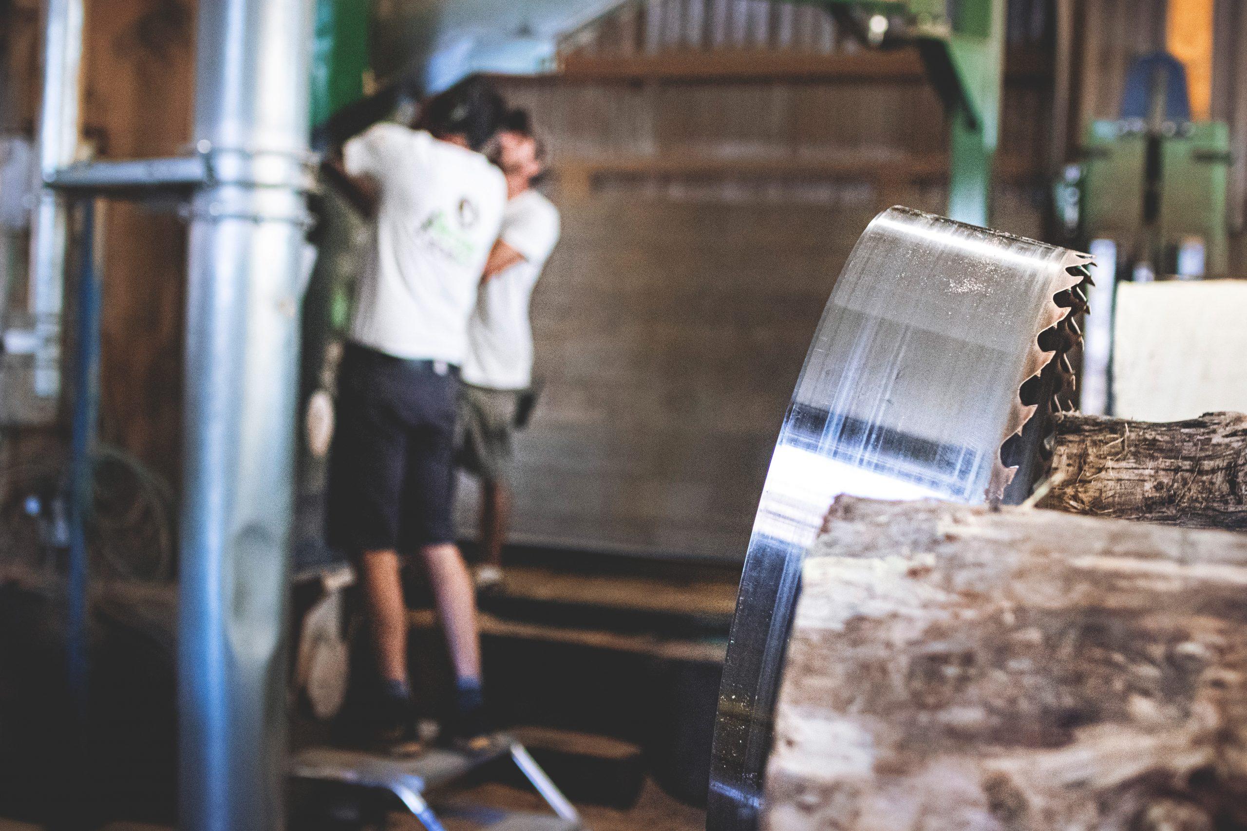 013 HD - Amex Bois - Production - Août 2024 - Photo-Terroir